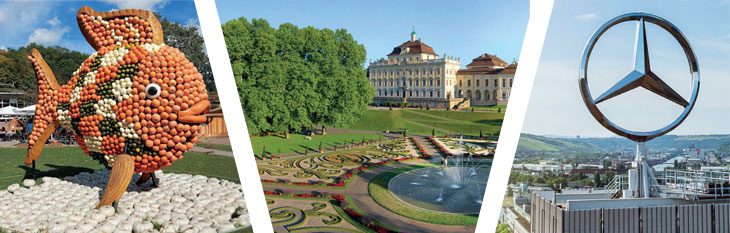 Fête de la citrouille